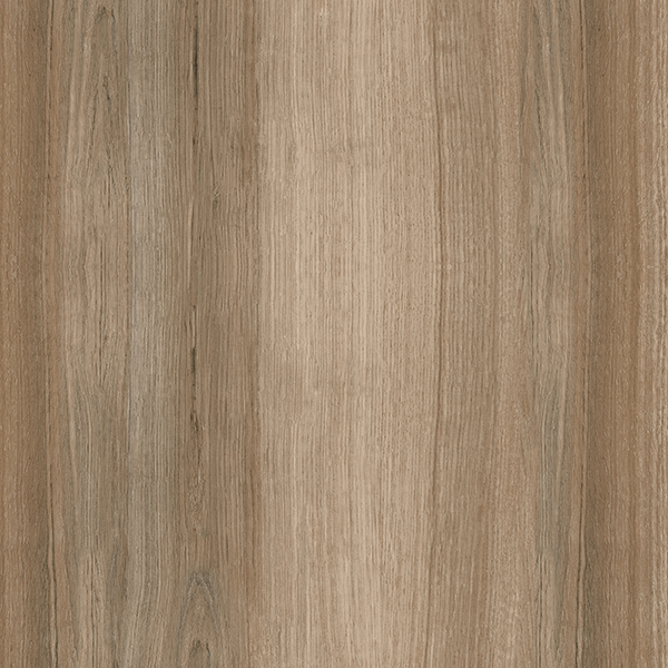 ALBERTINA ALMOND