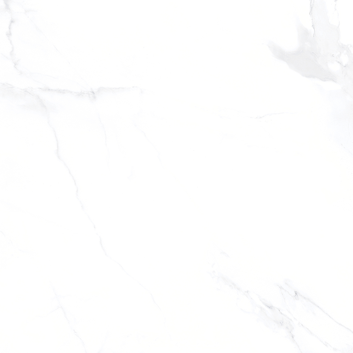 CARRARA GREY NEW